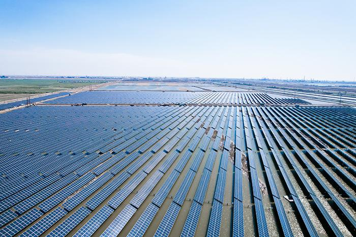 Harnessing Sunlight for Agriculture and Solar Power: The Agrivoltaic Solution | Trina Solar