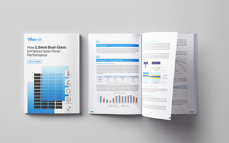 Dual Glass Whitepaper | Trina Solar