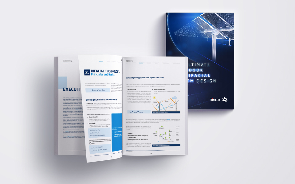Bifacial Solutions | Trina Solar