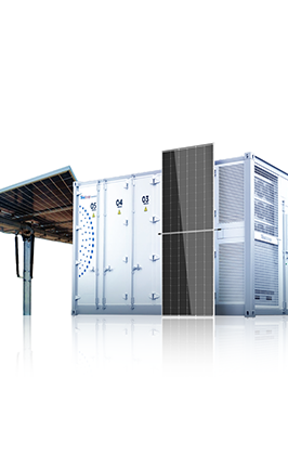 Solar Panels for Any Project Type | Trina Solar US